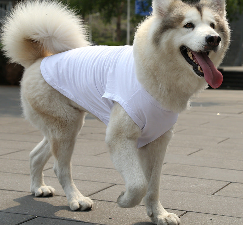 Chihuahua Tshirt