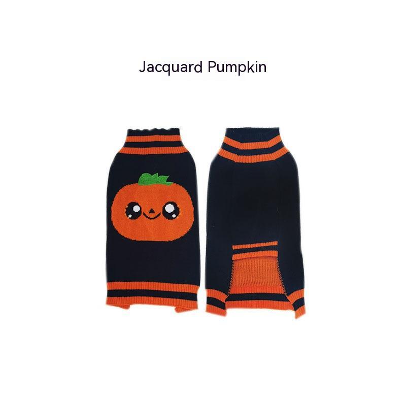 Teddy Sweater Outfit