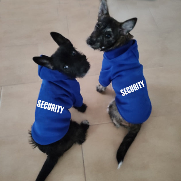 Security