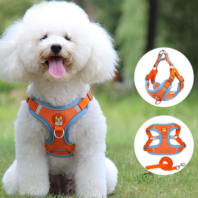 Reflective harness