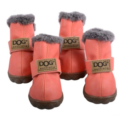 Teddy  Shoes