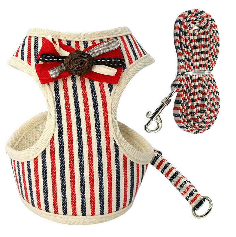 Lilo Harness