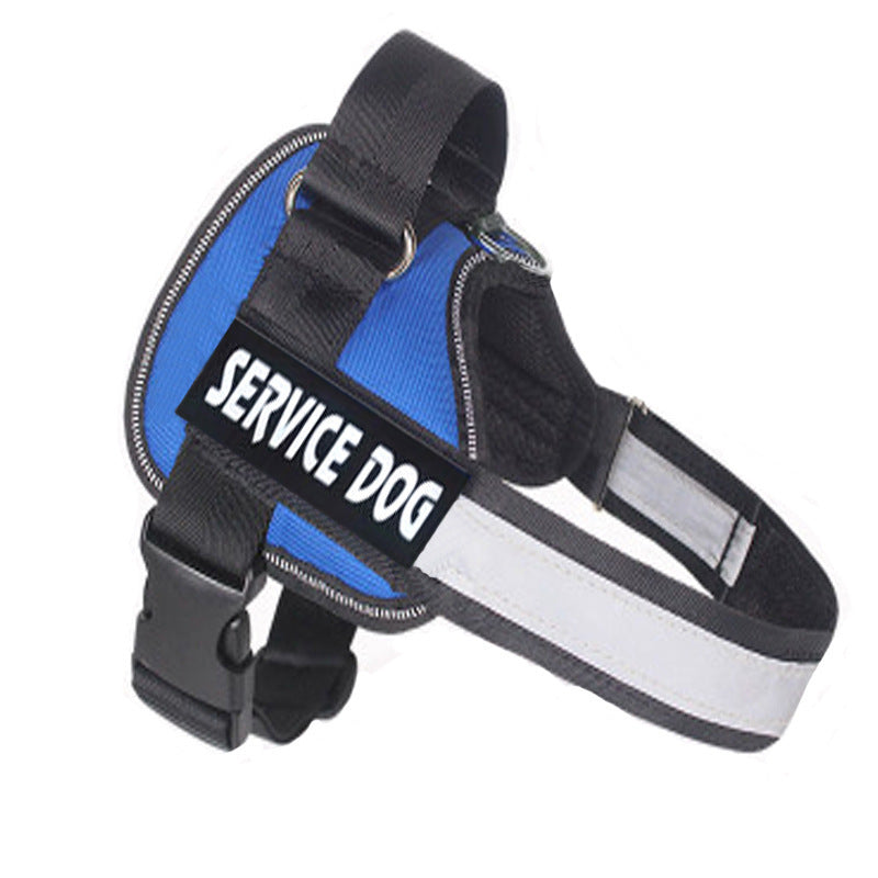 Service dog