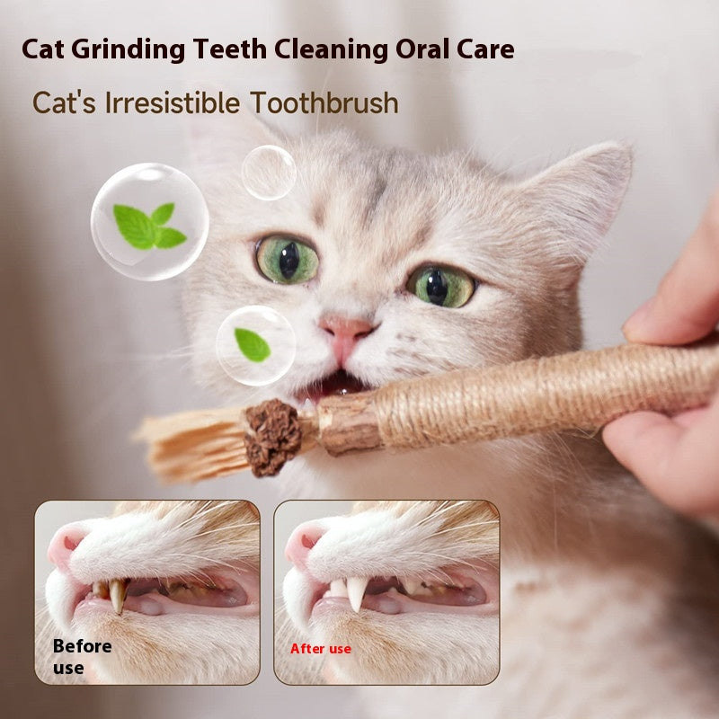 Molar Bite Stick Toy
