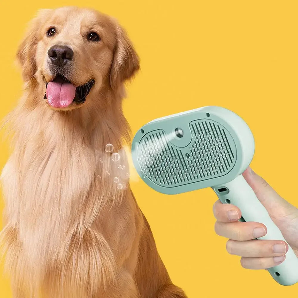 Hair Brush