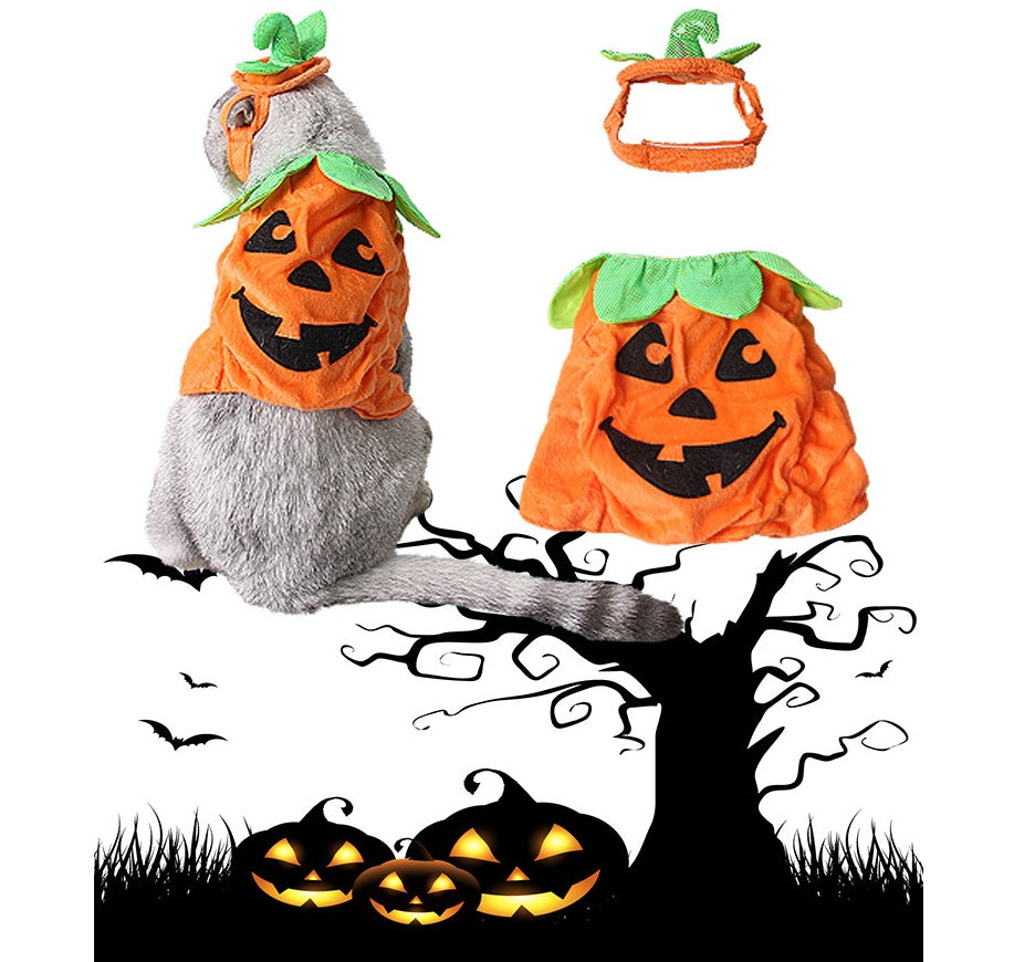 Pumpkin Costume