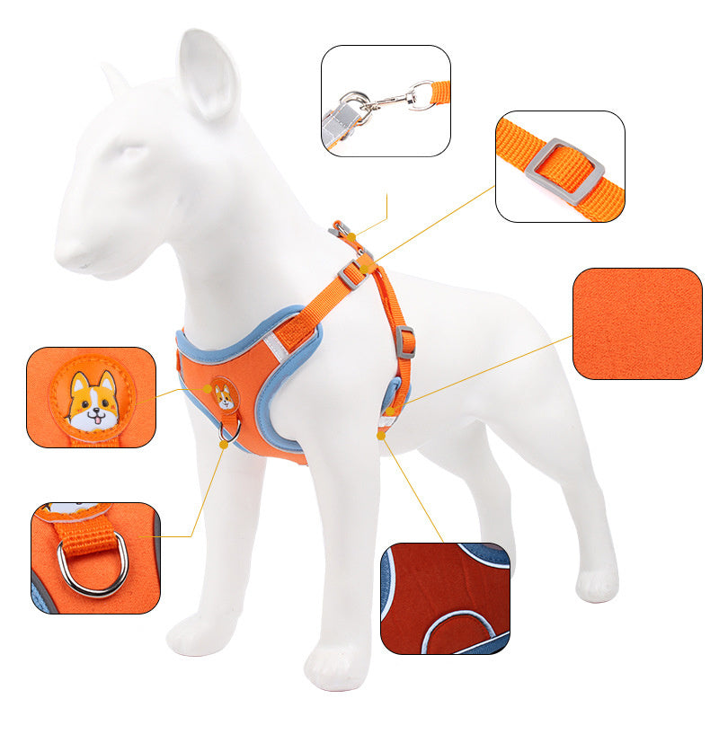 Reflective harness