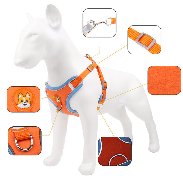 Reflective harness