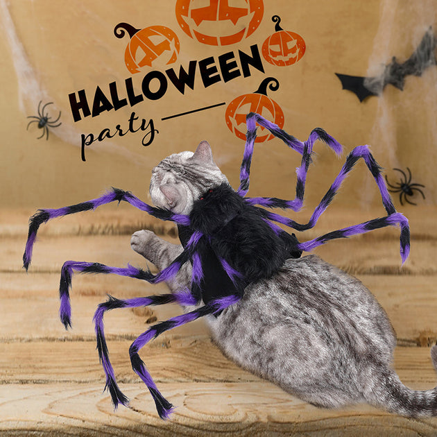 Spider Costume