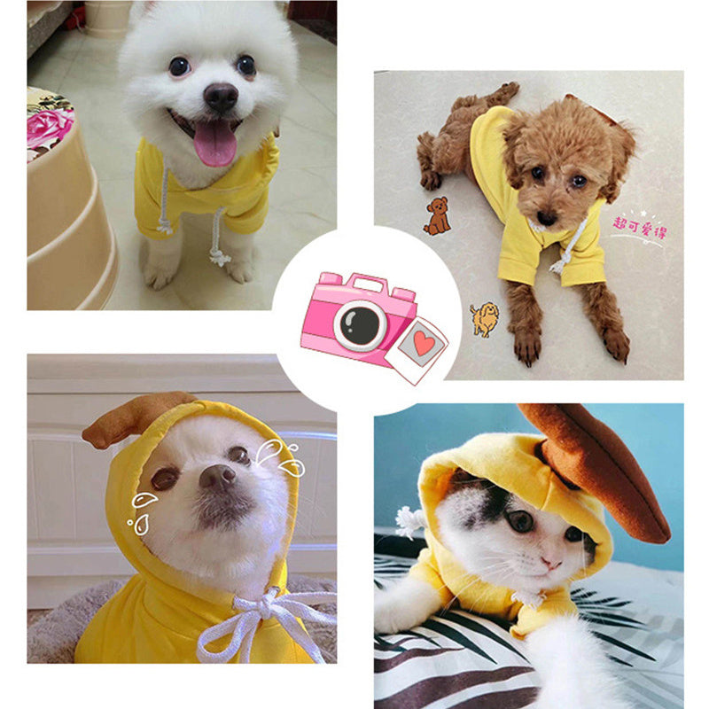 Hoodies Winter