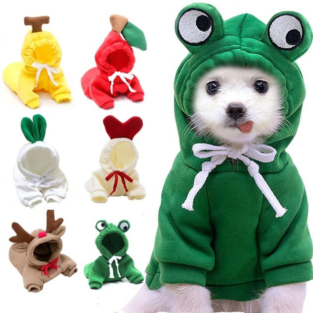 Hoodies Winter