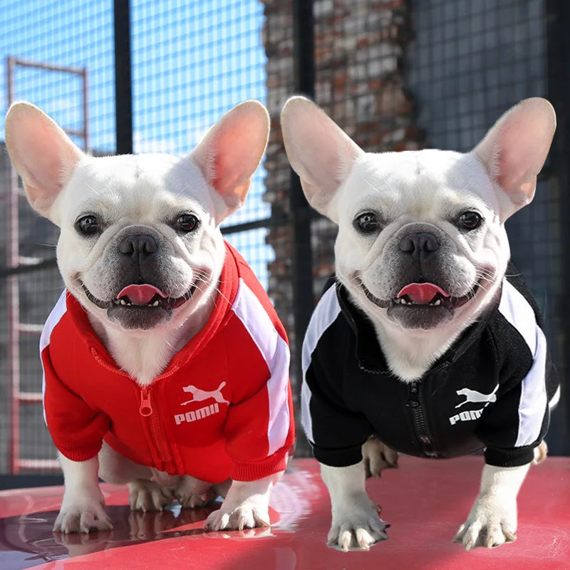 Baseball Jacket