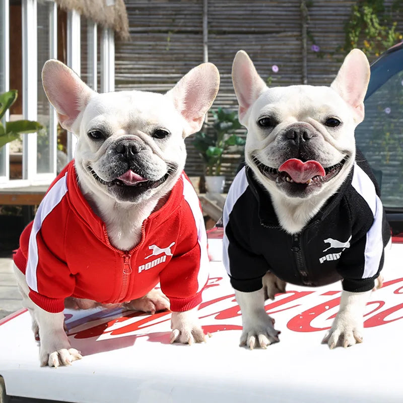 Baseball Jacket