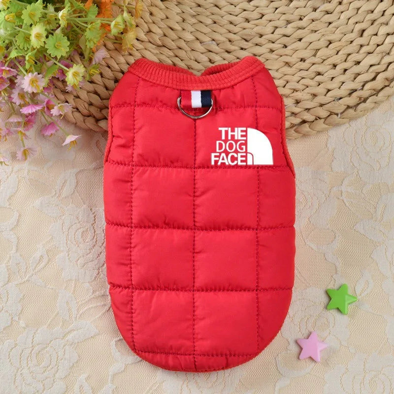 The dog Face jacket
