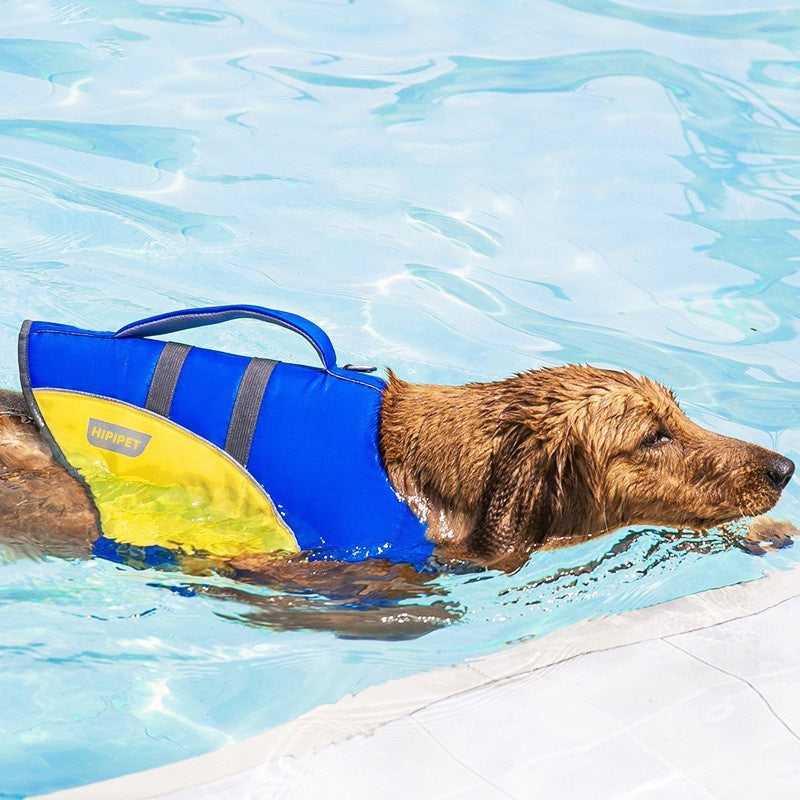 Swimming Life Jacket