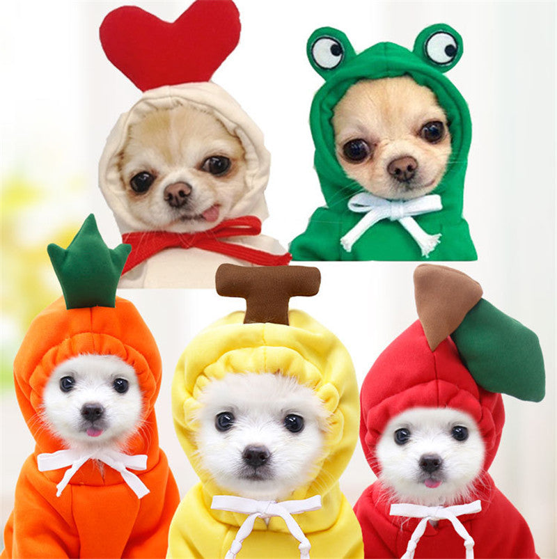 Hoodies Winter