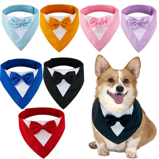 Bow