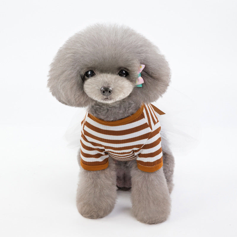 Teddy Dress