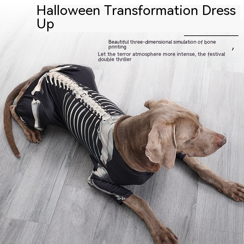 Skeleton Costume