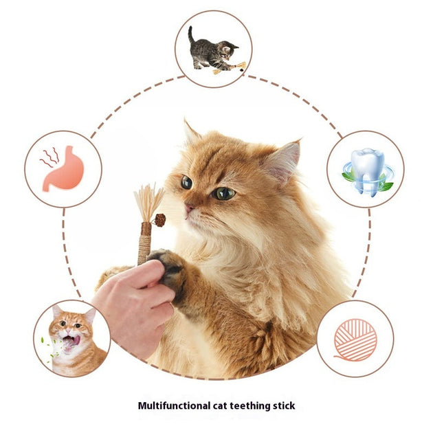 Molar Bite Stick Toy