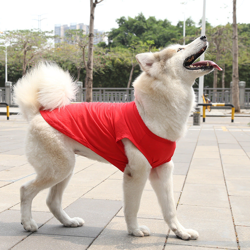 Chihuahua Tshirt