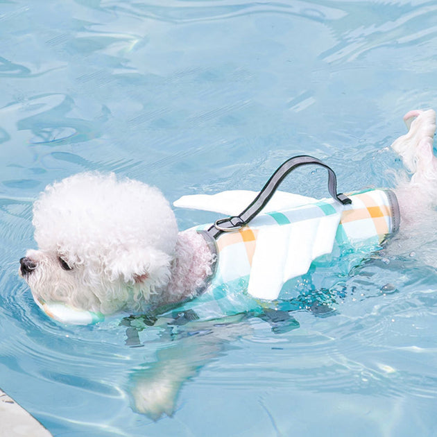 Swimming Life Jacket