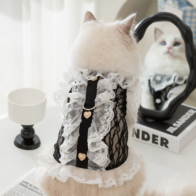 Lucy Vest