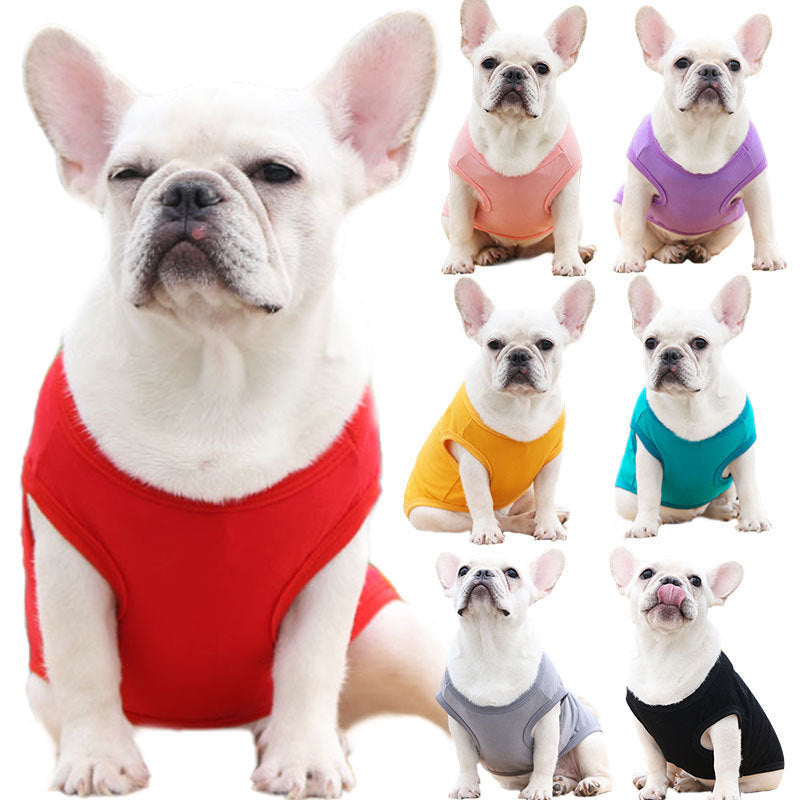 Chihuahua Tshirt