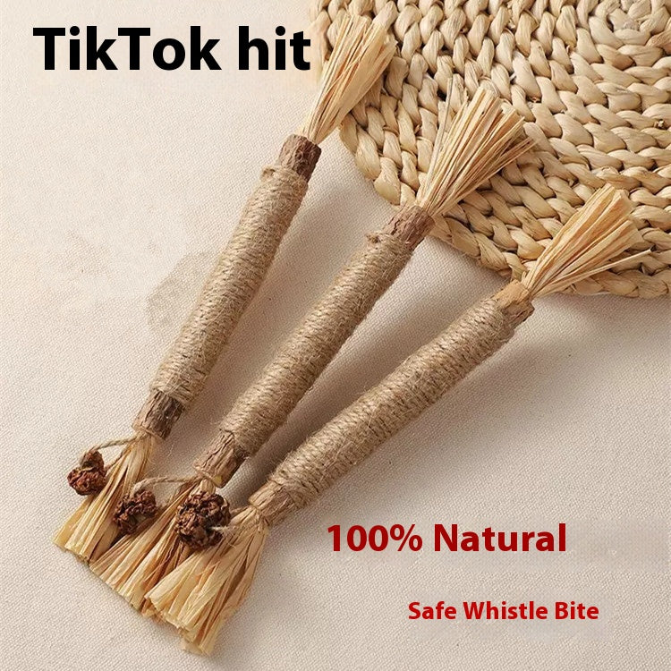Molar Bite Stick Toy