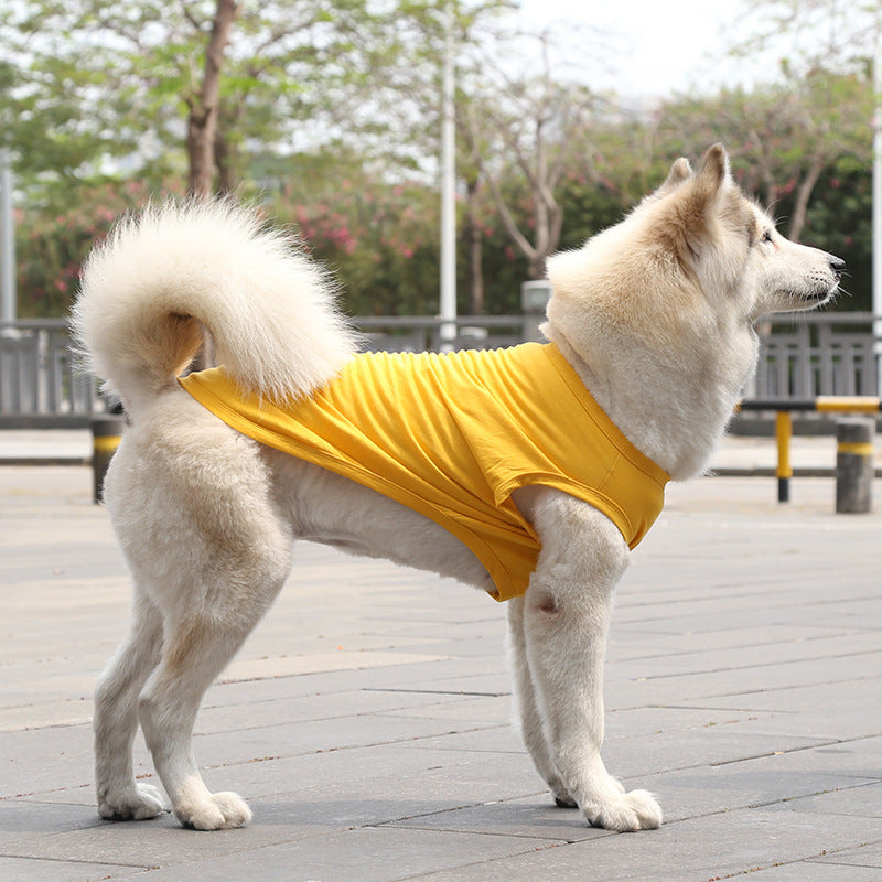 Chihuahua Tshirt
