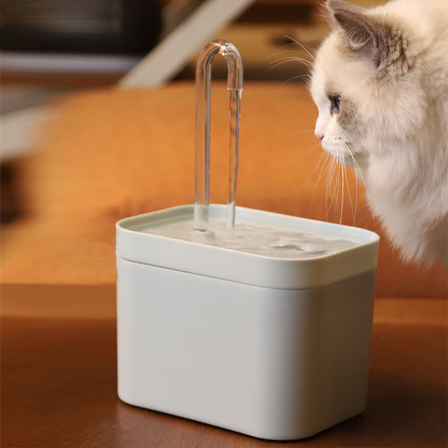 Fountain Dispenser