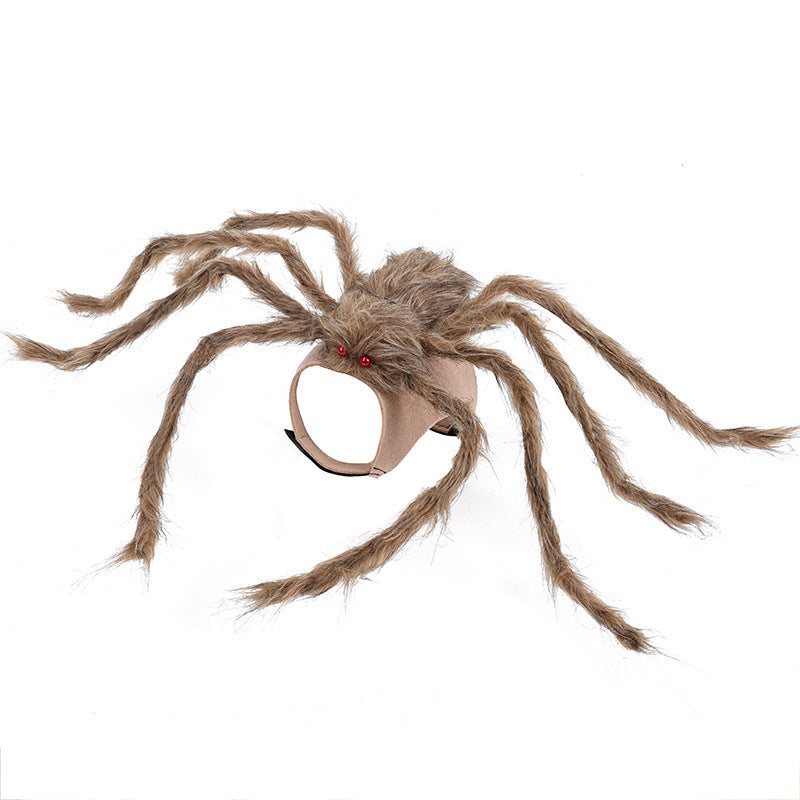 Spider Costume