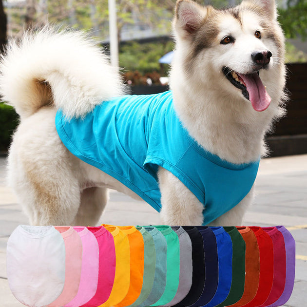 Chihuahua Tshirt