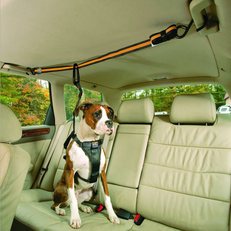 Safety Belt