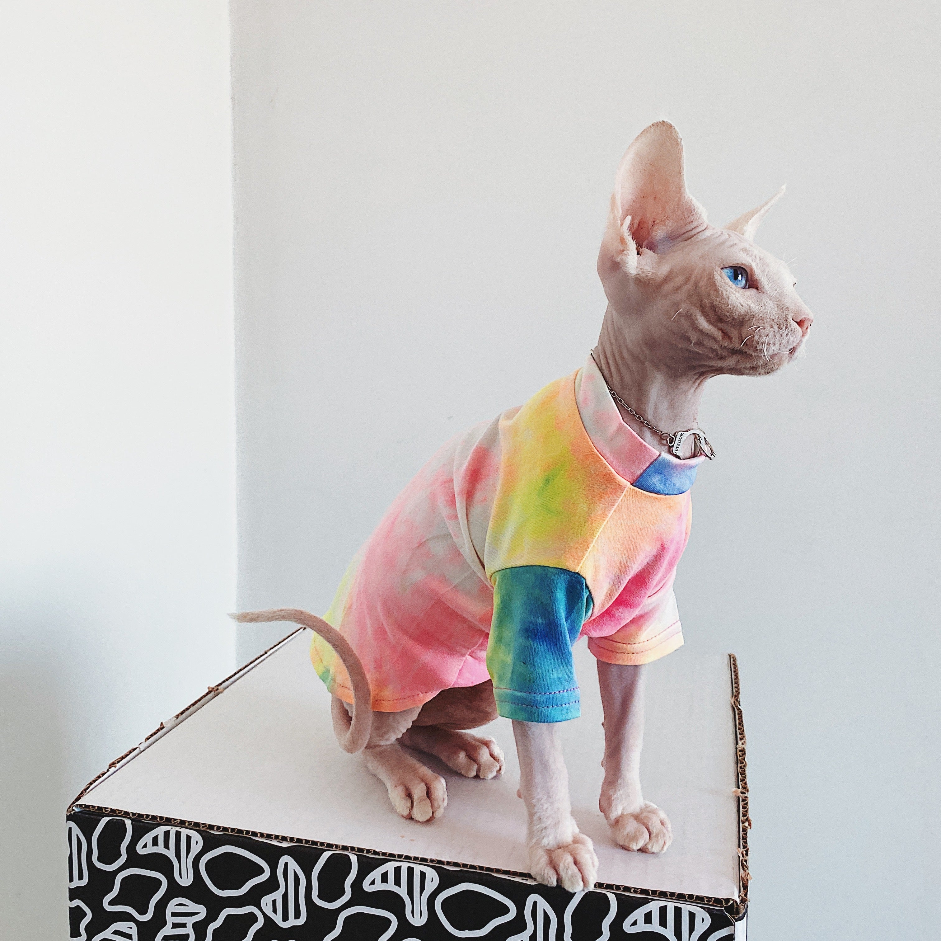 Tie-dye Rainbow