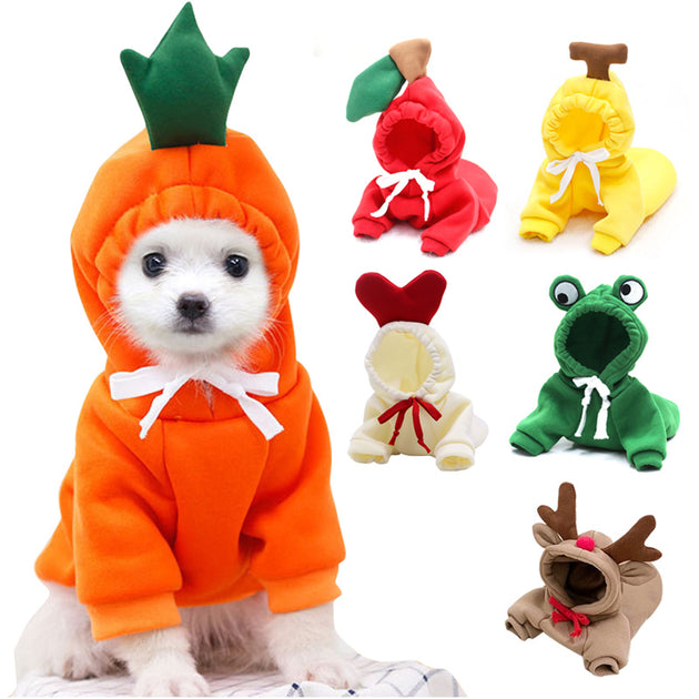 Hoodies Winter