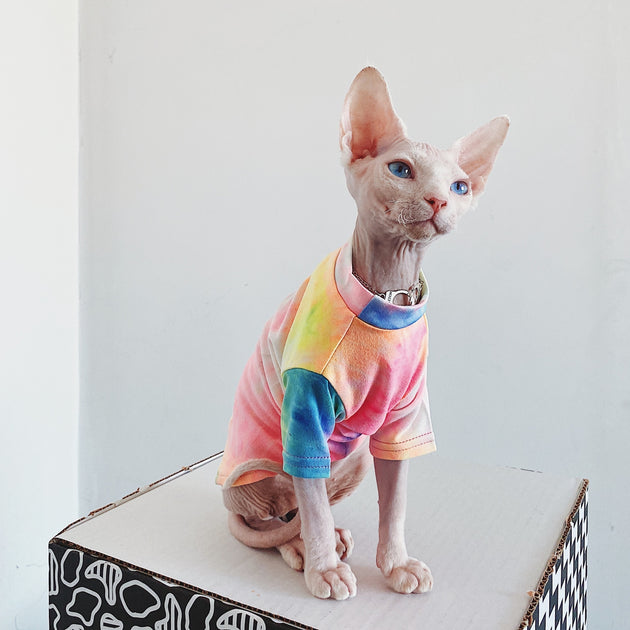 Tie-dye Rainbow