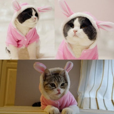 Rabbit Hoodie