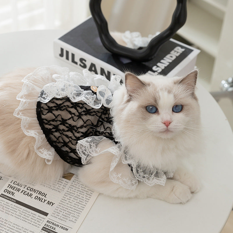 Lucy Vest