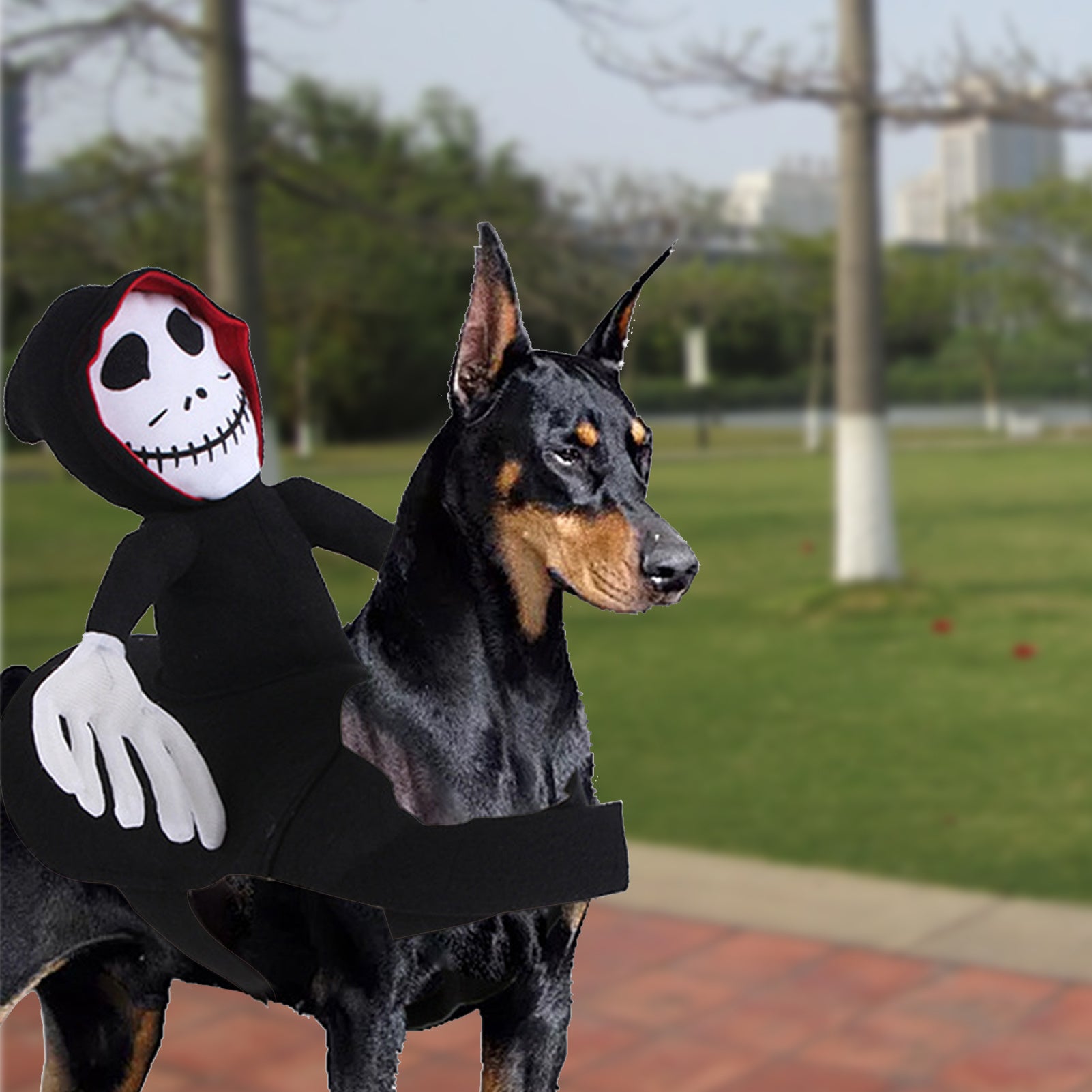 Spider Pumpkin Vest
