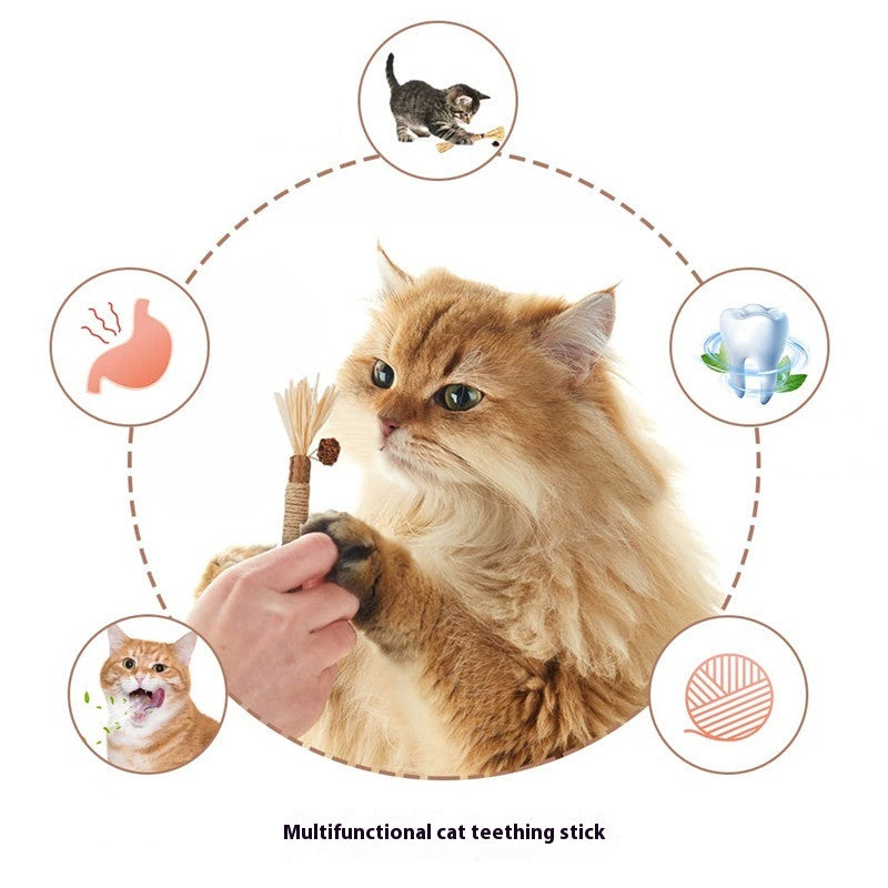 Molar Bite Stick Toy