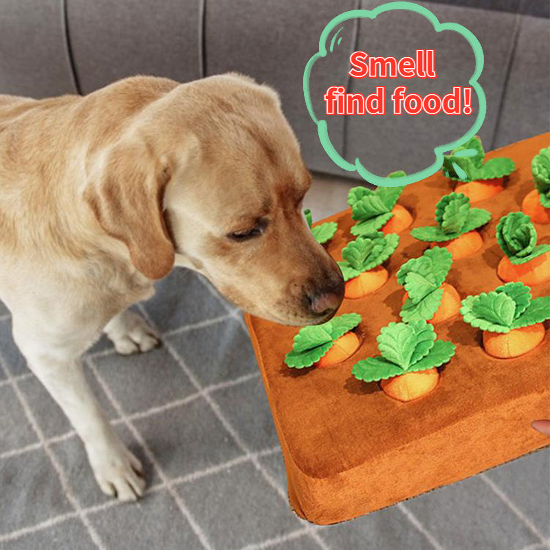 Vegetable Chew Toy
