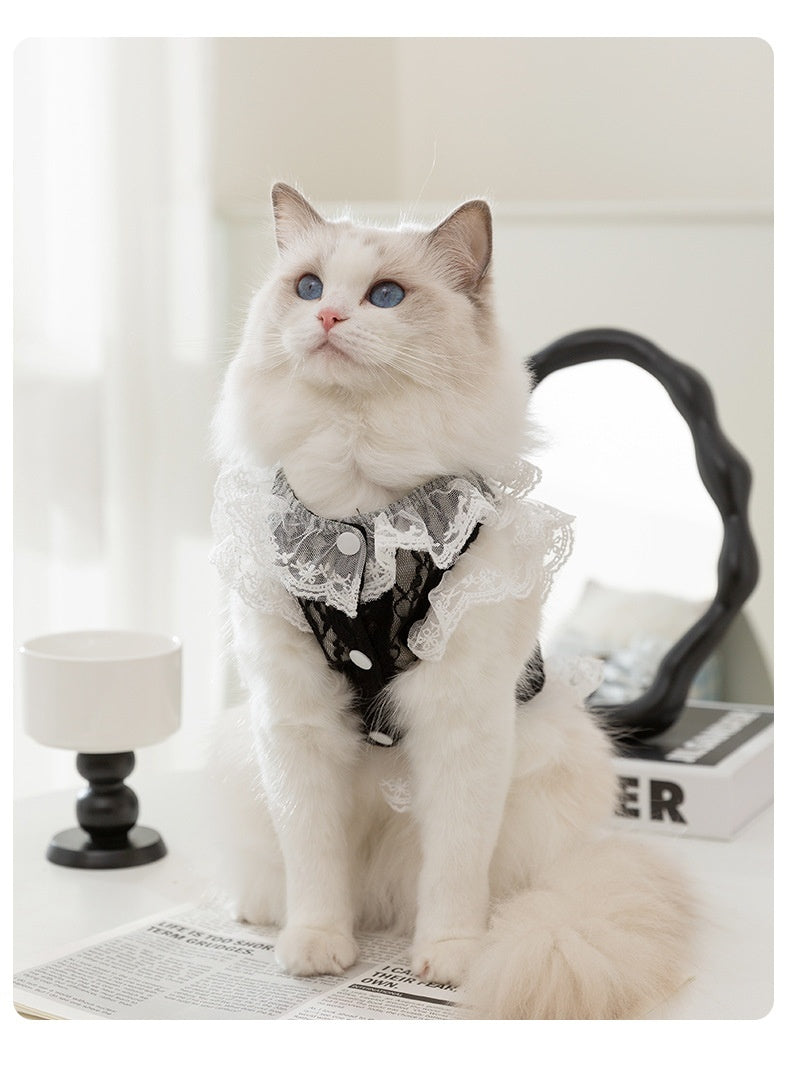 Lucy Vest