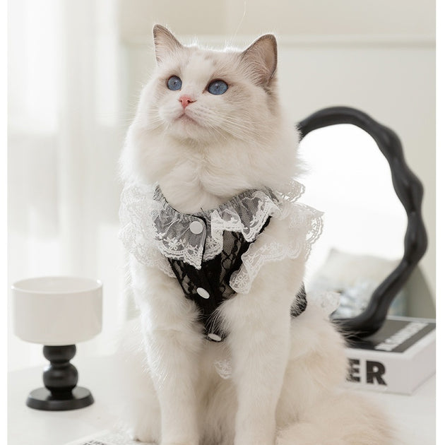 Lucy Vest