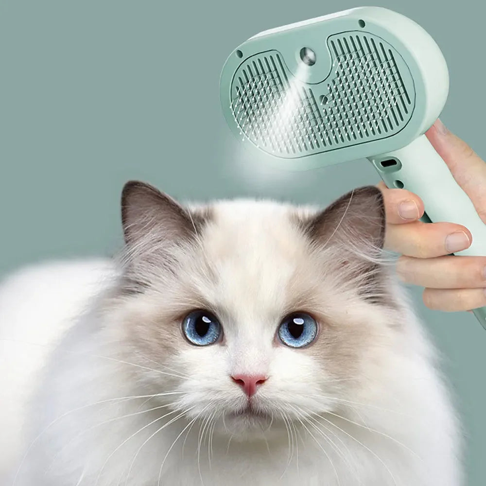 Hair Brush