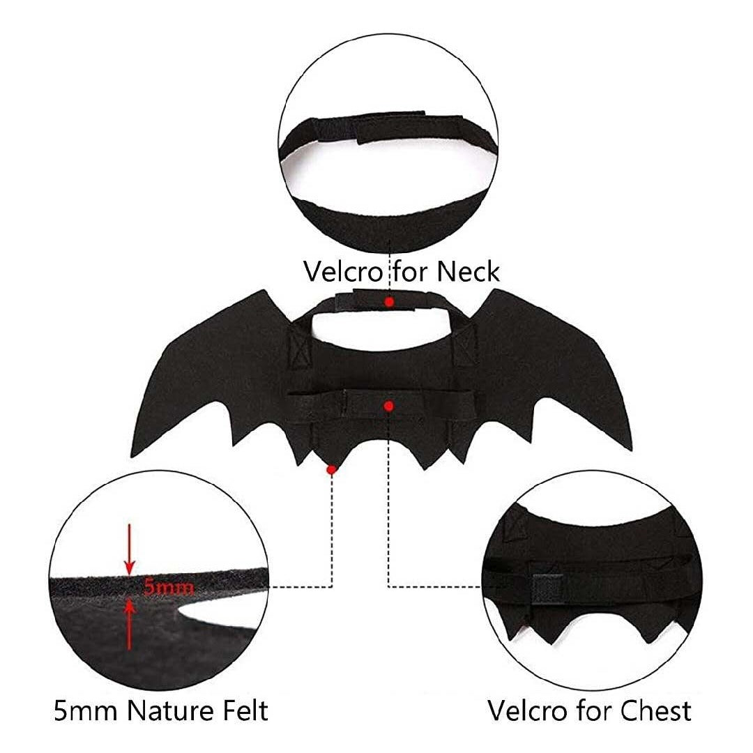 Bat Wings