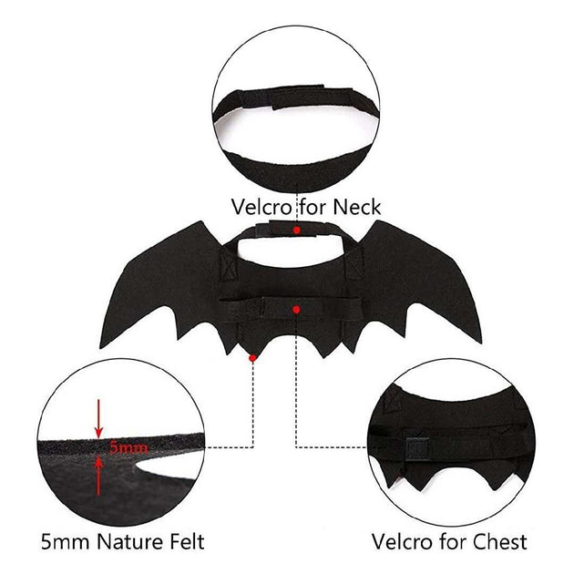 Bat Wings
