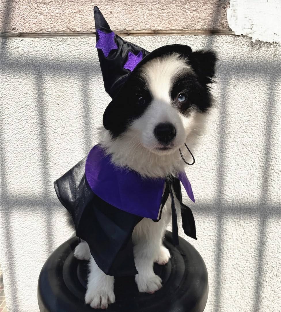 Witch Costume