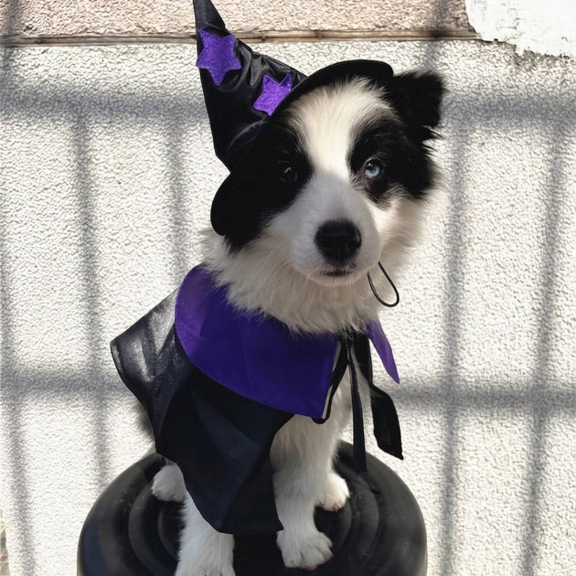 Witch Costume