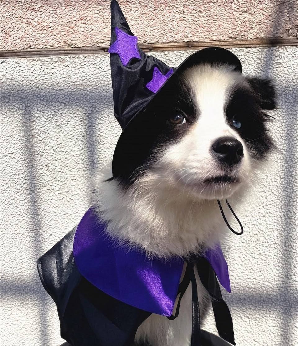 Witch Costume